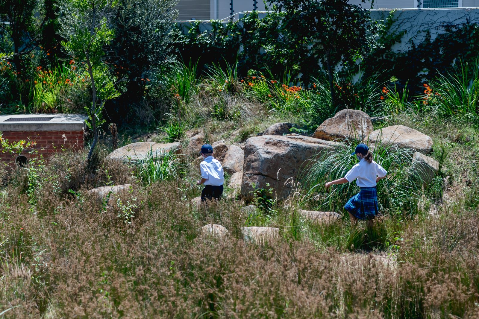 Indigenous bush & trees