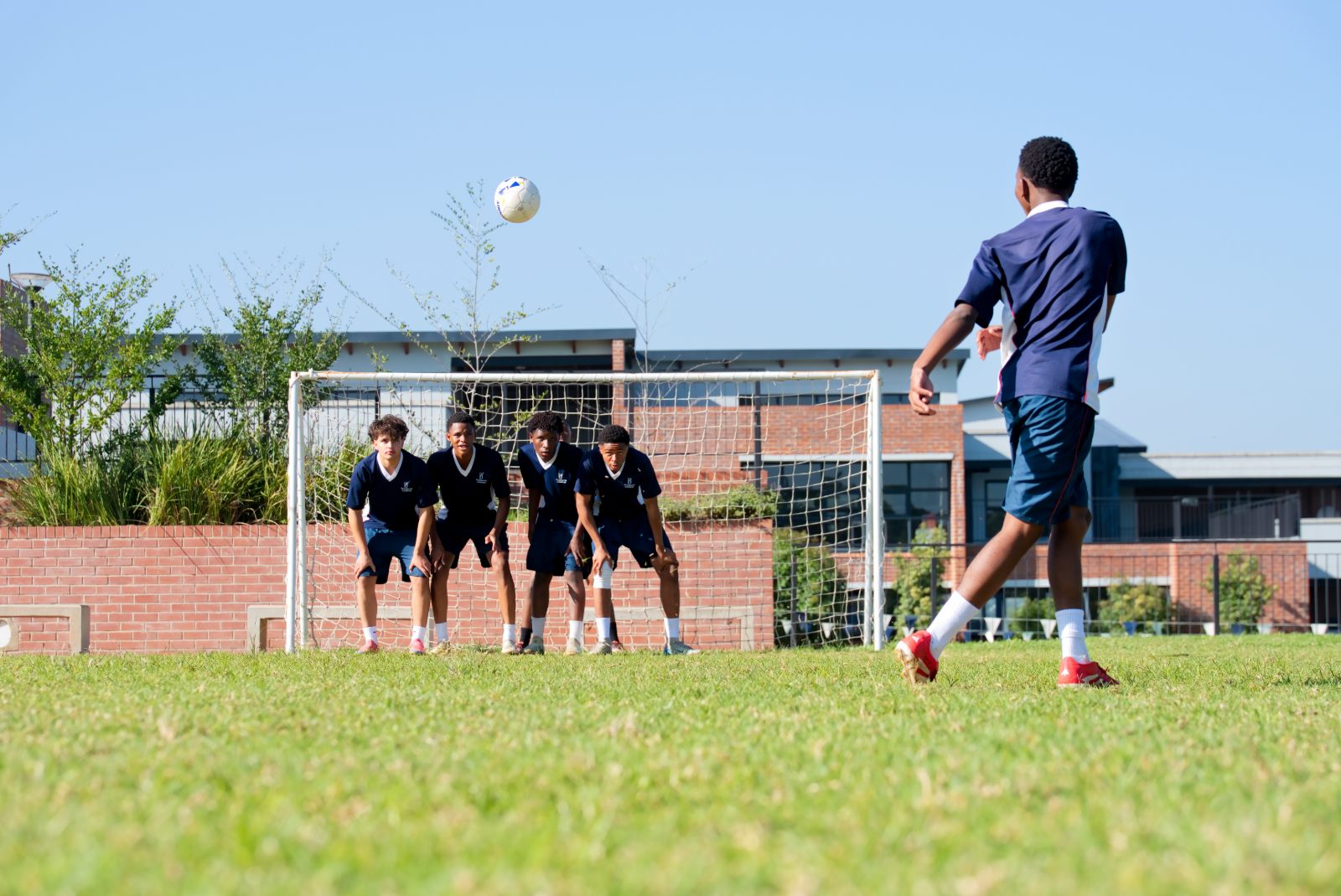 Sports fields & courts