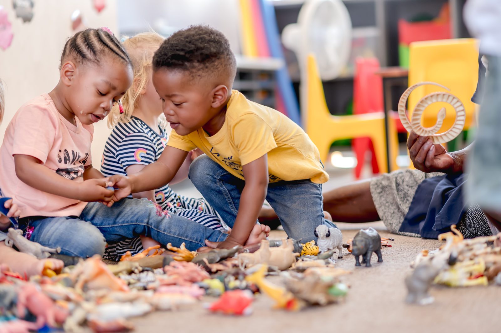 Imaginative play, animals out